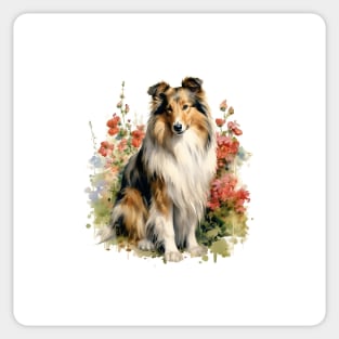 Shetland sheepdog Collie Watercolor Sticker